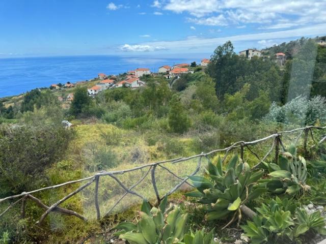 Modular Villa Calheta  Eksteriør bilde