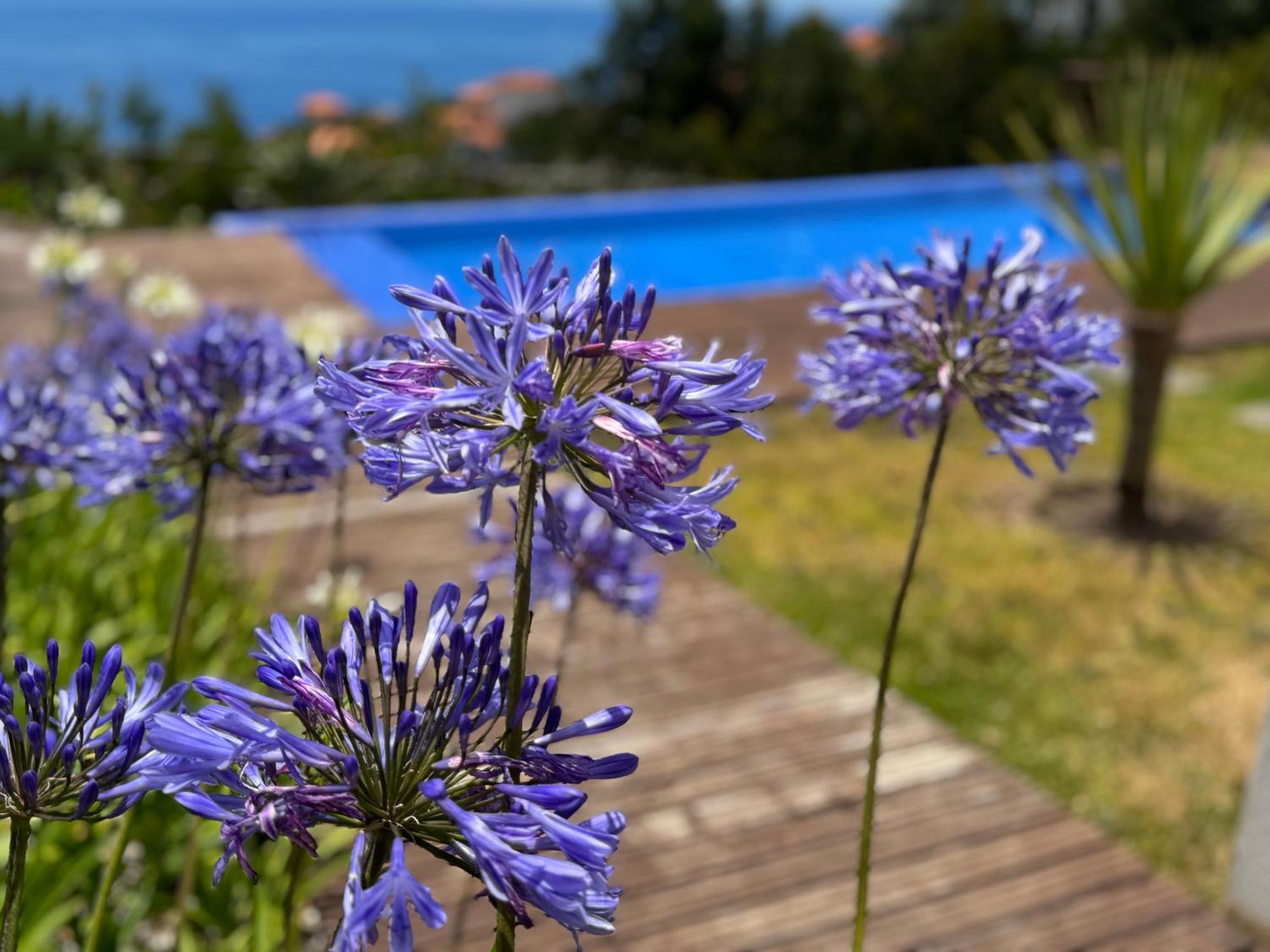 Modular Villa Calheta  Eksteriør bilde